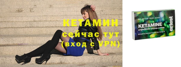 индика Гусев