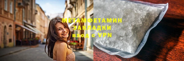 индика Гусев
