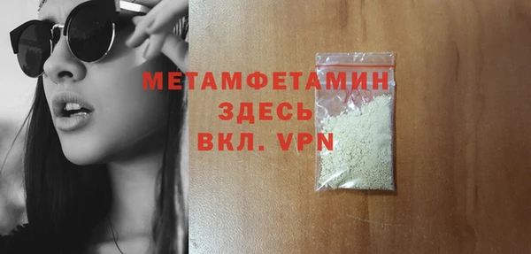 индика Гусев