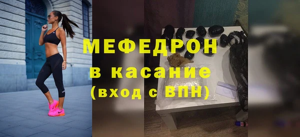 индика Гусев