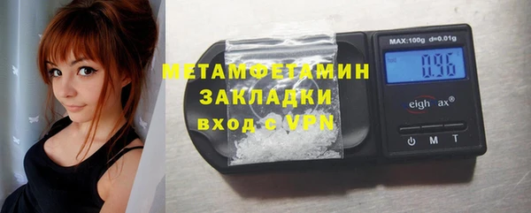 индика Гусев