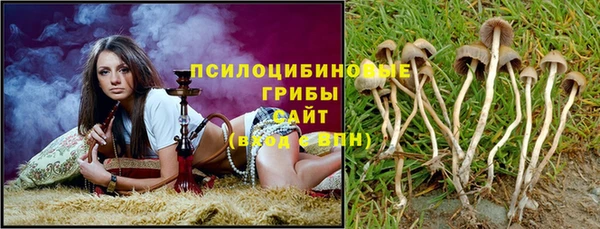 индика Гусев