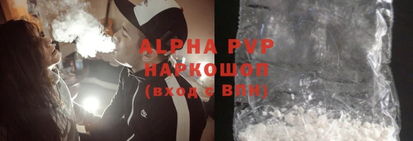 индика Гусев