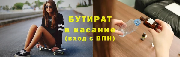 индика Гусев