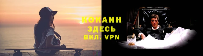крисы Чекалин