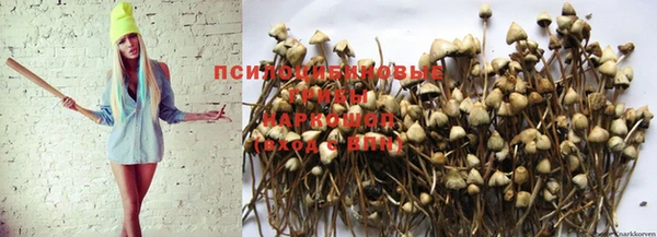 синтетический гашиш Гусиноозёрск