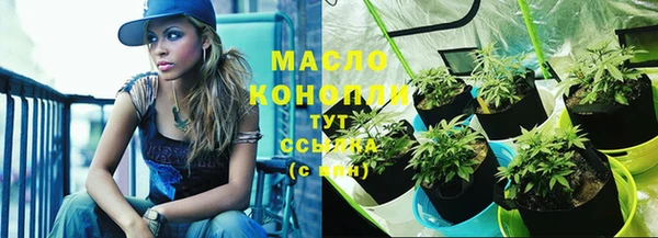 индика Гусев