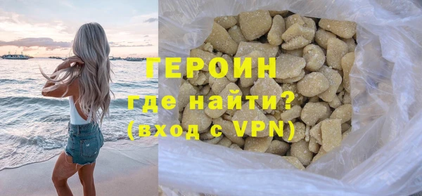 индика Гусев