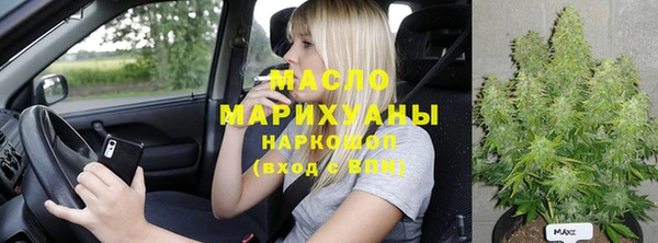 индика Гусев