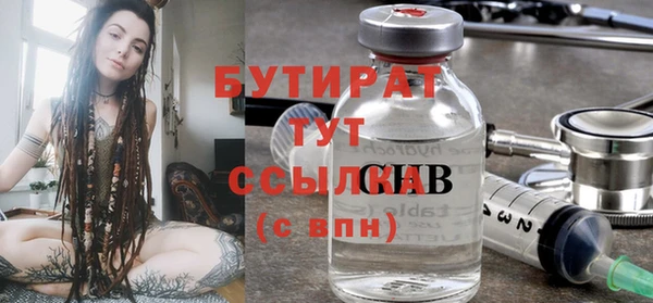 индика Гусев
