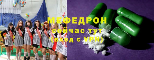 индика Гусев