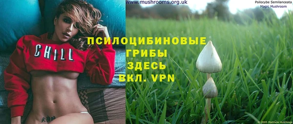 синтетический гашиш Гусиноозёрск