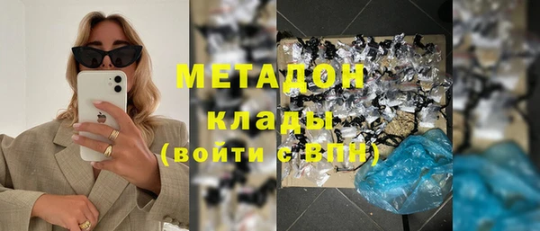 индика Гусев