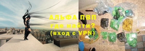индика Гусев