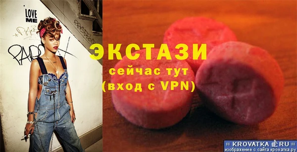 индика Гусев
