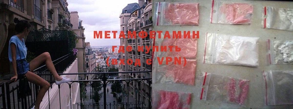 индика Гусев