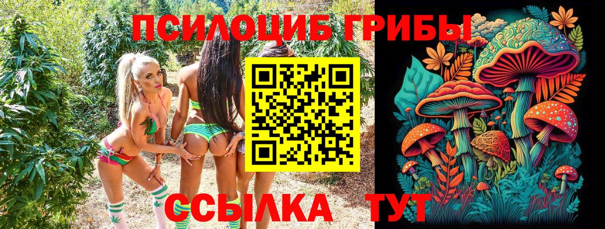 Галлюциногенные грибы GOLDEN TEACHER Назарово