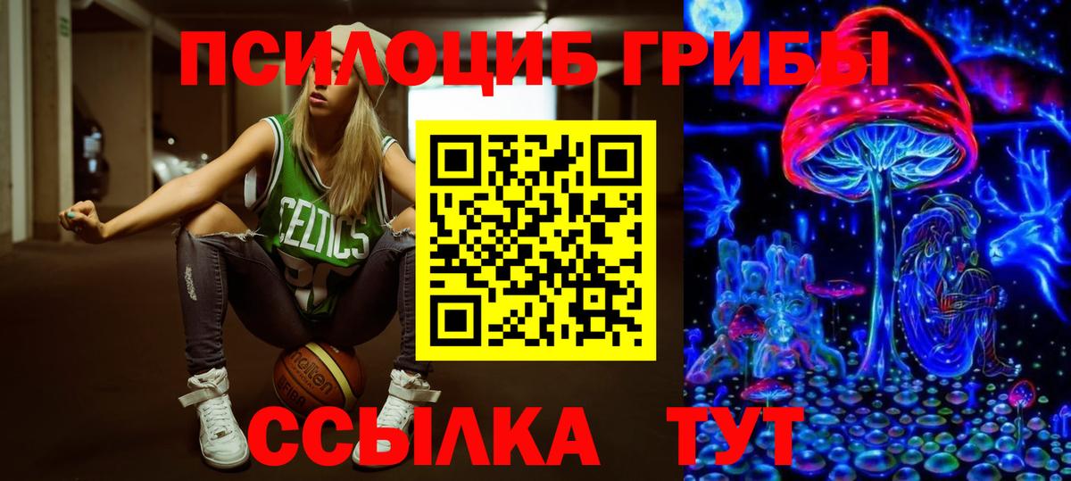 Галлюциногенные грибы Cubensis  Назарово 