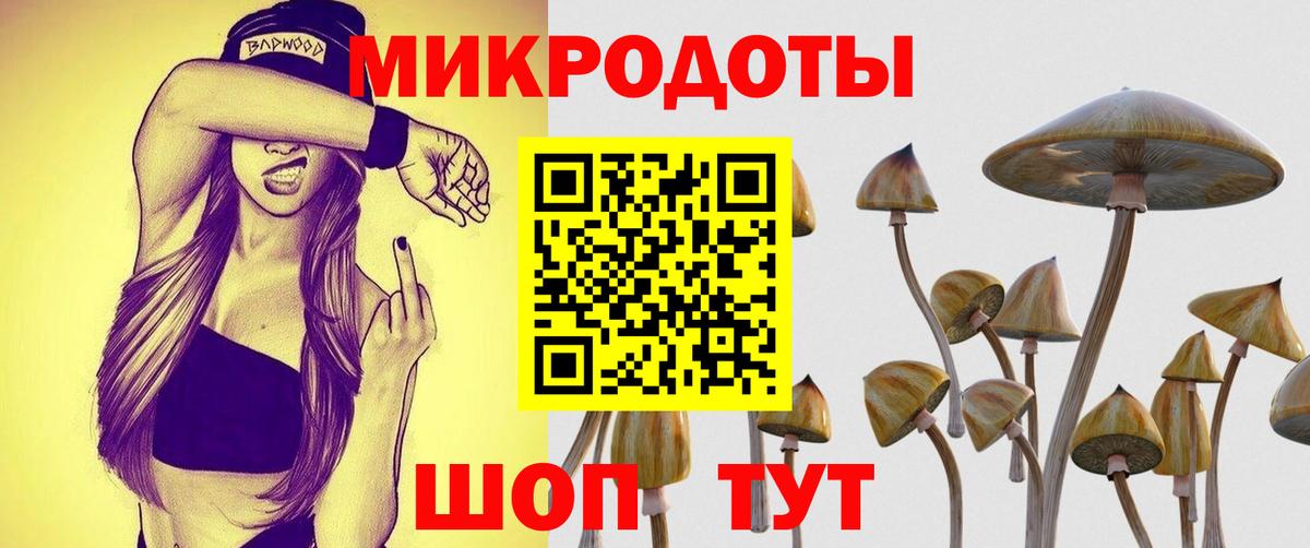 Псилоцибиновые грибы Psilocybine cubensis  Галлюциногенные грибы GOLDEN TEACHER  Вход с VPN  Назарово 