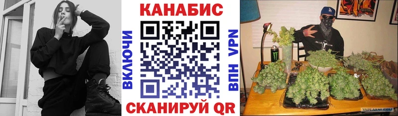 Каннабис OG Kush Назарово