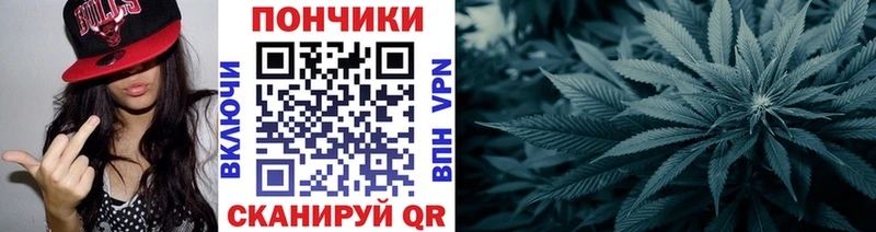 Канабис сатива Назарово